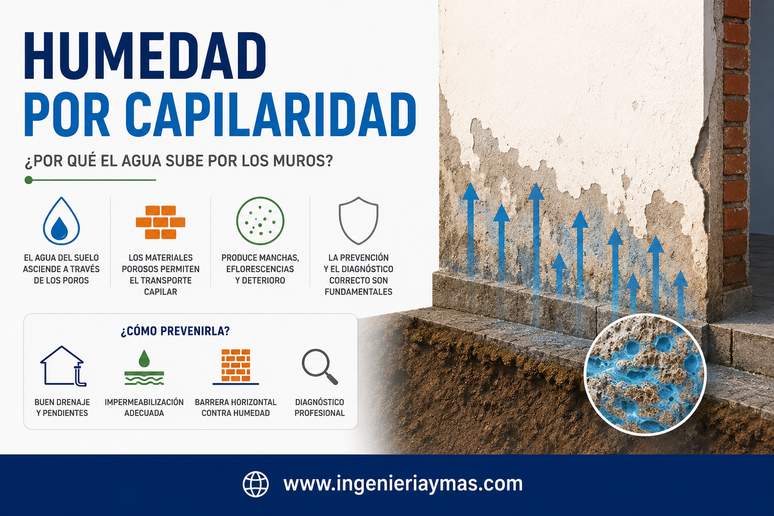 Humedad por capilaridad en muros